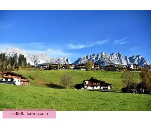 奥地利维也纳主场表现稳健，近期状态回暖值得关注