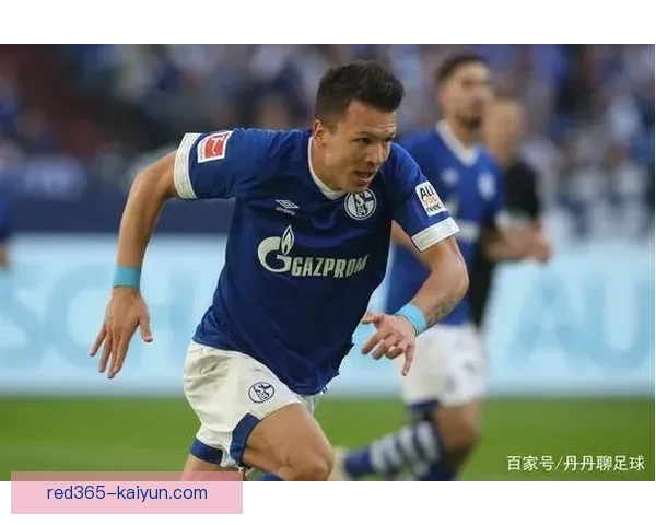 卡马文加职业生涯亮点：年轻中场持续提升，表现稳健备受期待稳健